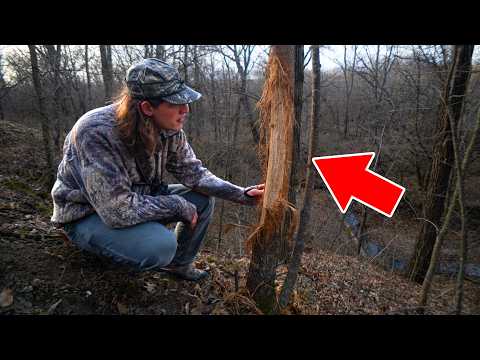 Die 5 besten Tipps für die Waldarbeit!!! – (Hirschjagd)