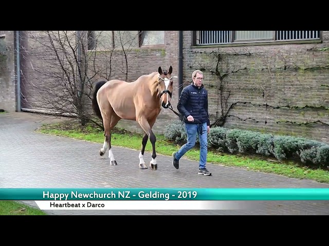 Half brother Happy Newchurch