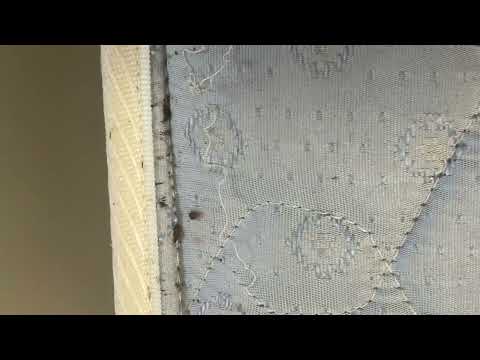Bed Bugs Biting Family in Monroe Township,...