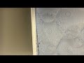 Bed Bugs Biting Family in Monroe Township, NJ