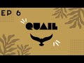 SPRUCE WAYNE Quail Server Ep 6