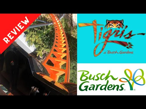 Tigris Roller Coaster FULL Ride POV at Busch Gardens Tampa Bay - Theme Park Delight