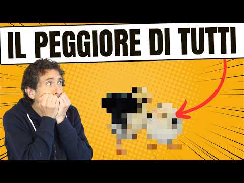 The 5 Most INFLAMMATORY Foods? Which Do We Underestimate? Which Are the Worst?