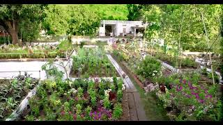 preview picture of video 'Sharshti Bio Fertilizer'