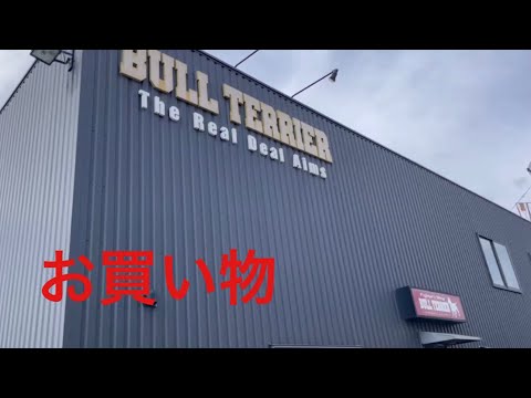 【Bull Terrier】格闘技用品買いに行ってみた#柔術 #買い物 #格闘技
