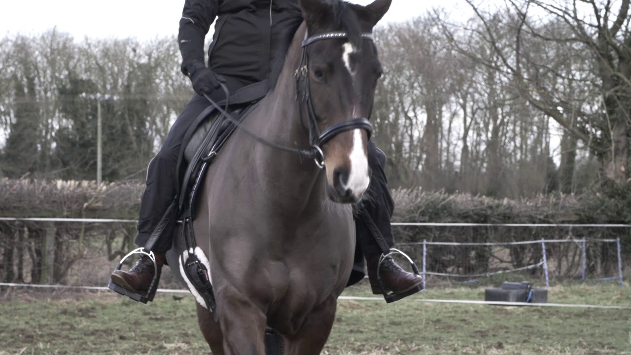 Water-proof over trousers test | Your Horse magazine