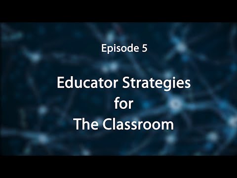 Stress, Trauma, and the Brain: Insights for Educators--Educator Strategies for the Classroom