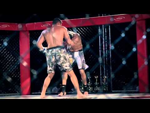 Shockwave Combate - Highlights