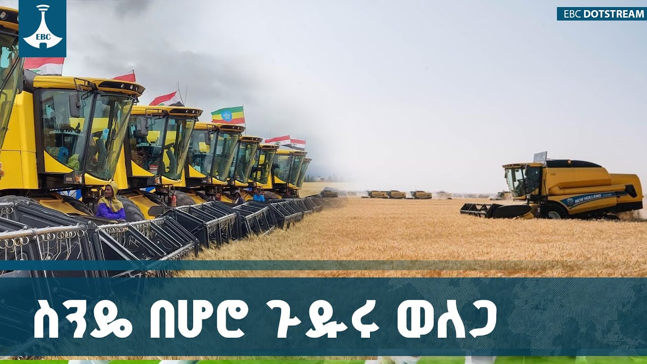 በሆሮ ጉዱሩ ወለጋ ዞን  በኅብረተሰቡ ተሳትፎ እና በቡሳ ጎኖፋ ኦሮሚያ አማካኝነት በ70 ?