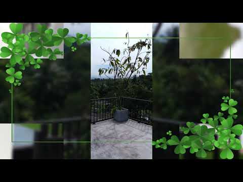 AAA WHITE HOUSE HOTEL