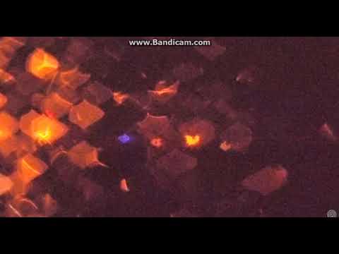 purrty lights  17 12 01 21 26 32 203