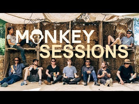 JUNGLE BY NIGHT | The Monkey Sessions
