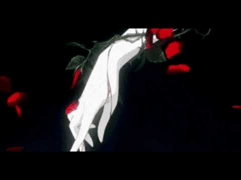 purnjo -  ja sam popstar