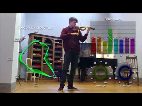 Piece for Violin and Brain - Paganini Caprice N. 24 - Nikola Pajanović