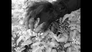 coming soon - Randy Beware