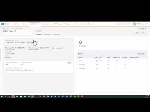 Salesforce Marketing Cloud Data Extension Demo