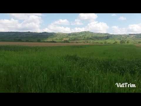 Relaxare Popeşti (Bihor)