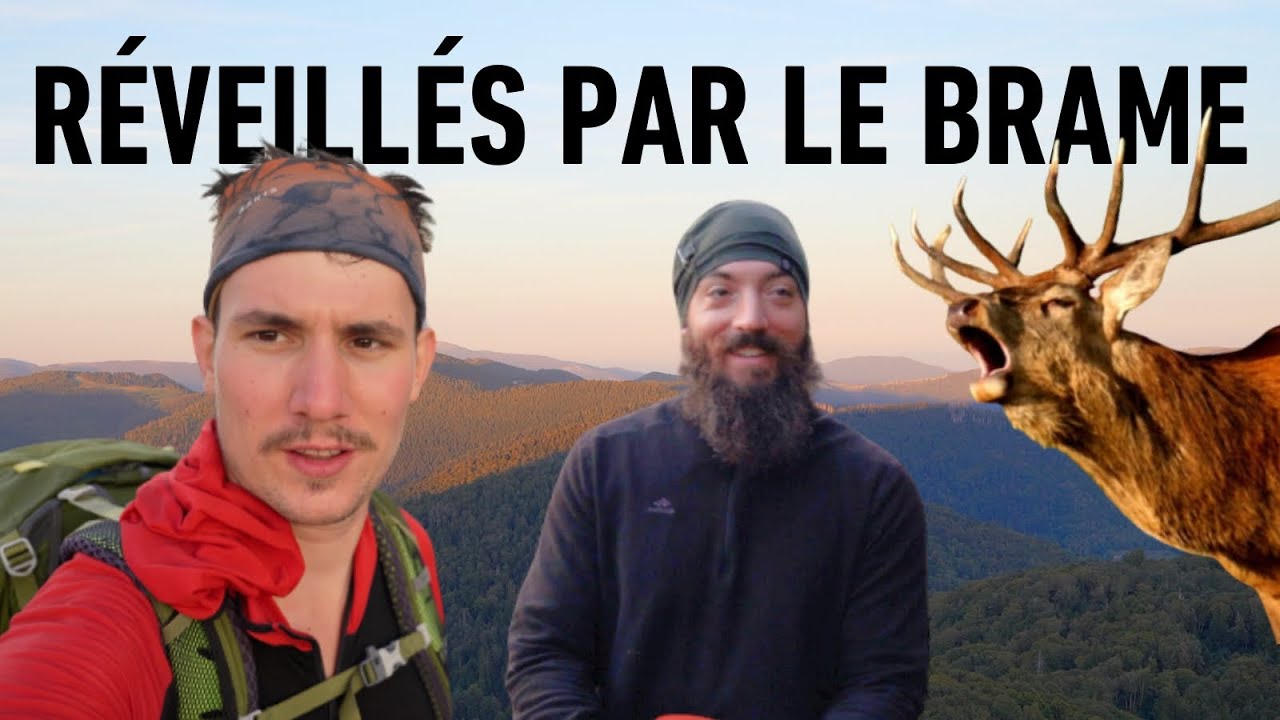Hautes VOSGES : trek de 3 jours avec @loicbrischoux7908