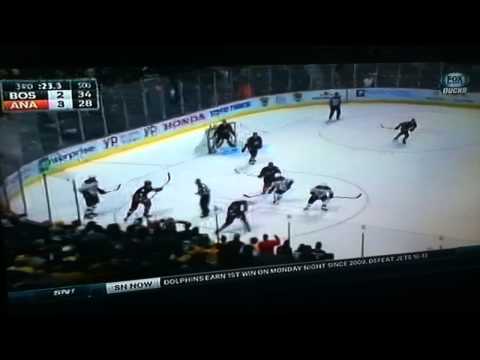 bruins vs ducks 01/12/2014
