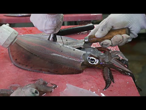 Jeju Island Street Food - Color-Changing Squid | Squid Sashimi