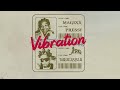 Magixx - Vibration feat. Jeriq (Lyric Video)