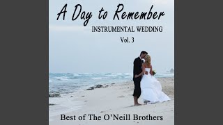Hawaiian Wedding Song (Instrumental Version)