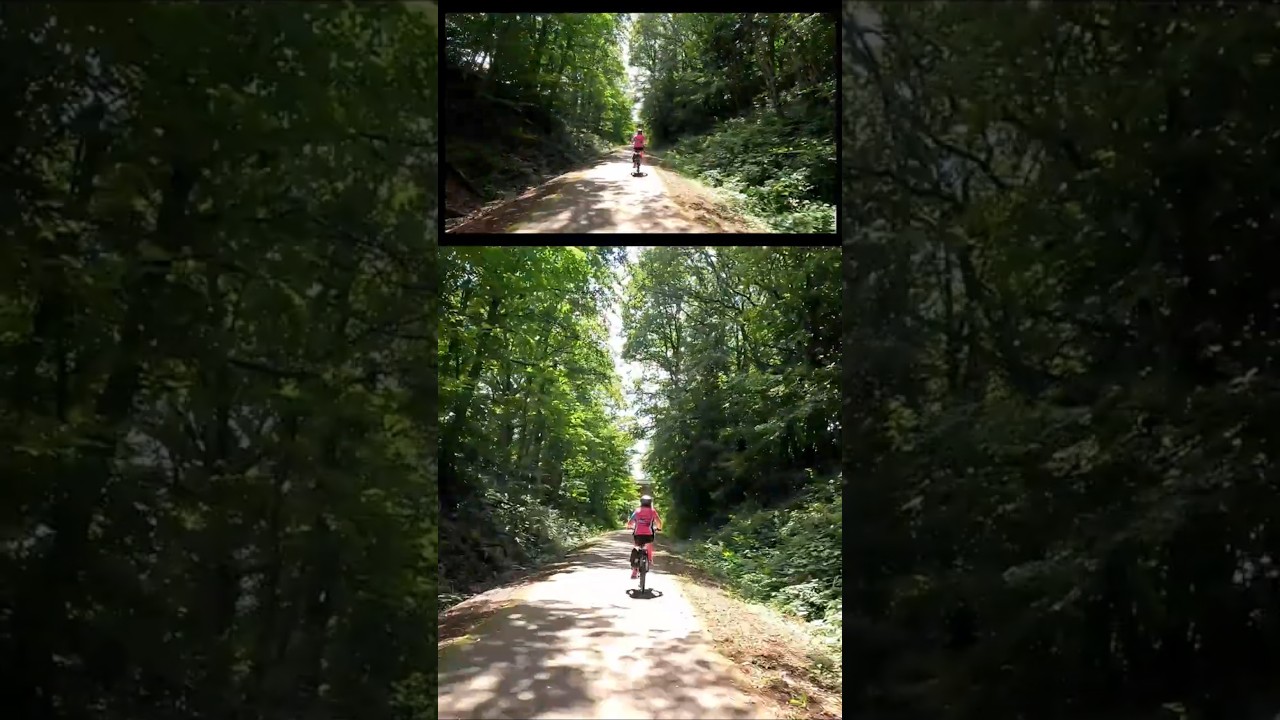 20: Daun to Bernkastel-Kues