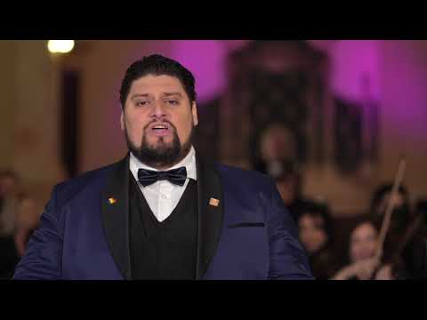 Aria “Sărmane lăutar ” din opereta “Lăsați-mă să cânt” de Gherase Dendrino -  Alin STOICA