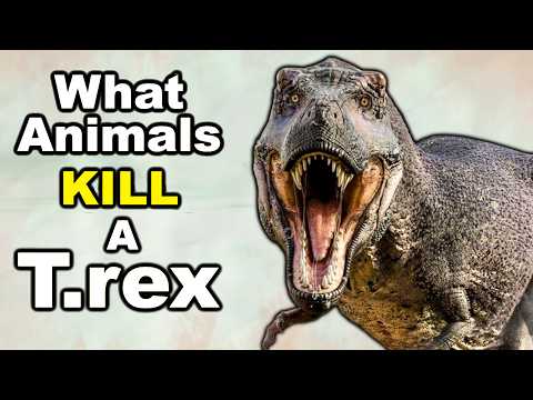 5 Animals that could KILL a T.rex