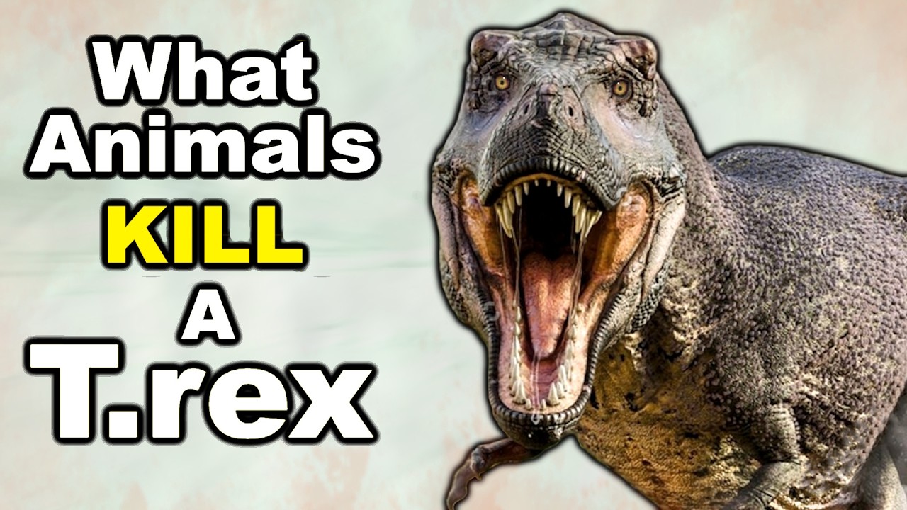 5 Animals that could KILL a T.rex