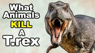5 Animals that could KILL a T.rex