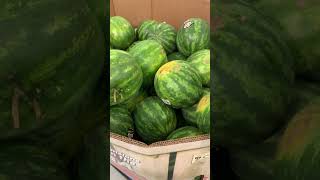USA: Lidl GROCERY BRAND: SHOPPING IN THE USA: WELCOME TO THE UNITED ST
