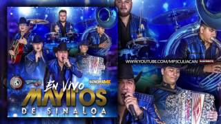 Los Mayitos De Sinaloa - Diez Charolas (En Vivo 2016)