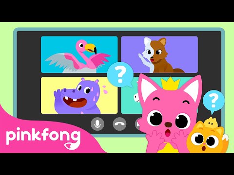 Learn about Animal Fun Facts in Songs | Poop, Colors, Body Parts, Sleeping Habit, Diet | Pinkfong