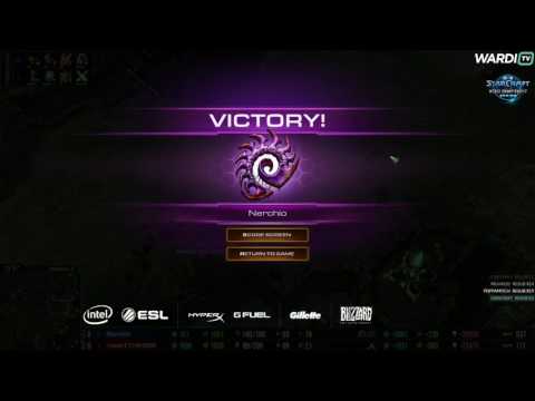 Insane ZvP Engagement - Nerchio vs Zest -