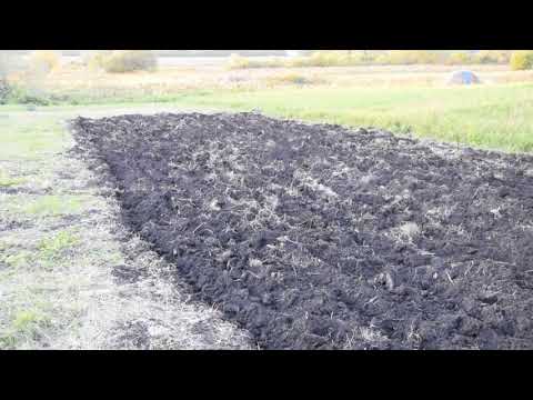 ОБРАБОТКА (ПАХОТА) ЦЕЛИНЫ МОДЕРНИЗИРОВАННЫМ ПЛУГОМ.