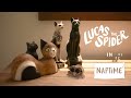 Lucas the Spider - Naptime - Short thumbnail 1