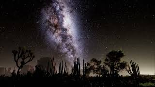 Peace, Love & Wisdom [Bible Sleep Meditation + Rain Music