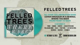 Felled Trees -  Start Choppin&#39; feat. Jason Beebout (Samiam) (Dinosaur Jr.)
