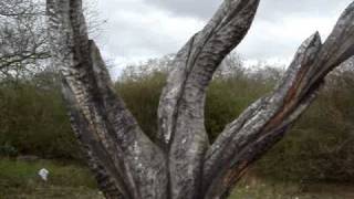 preview picture of video 'Wooden Sculpture Park, Hainault Forest Country Park'