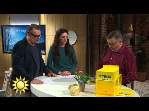 Ulfs lyckotjut efter trissvinsten - Nyhetsmorgon (TV4)