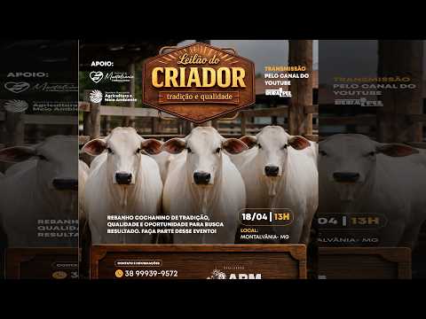 LEILÃO DO CRIADOR - Montalvânia/MG