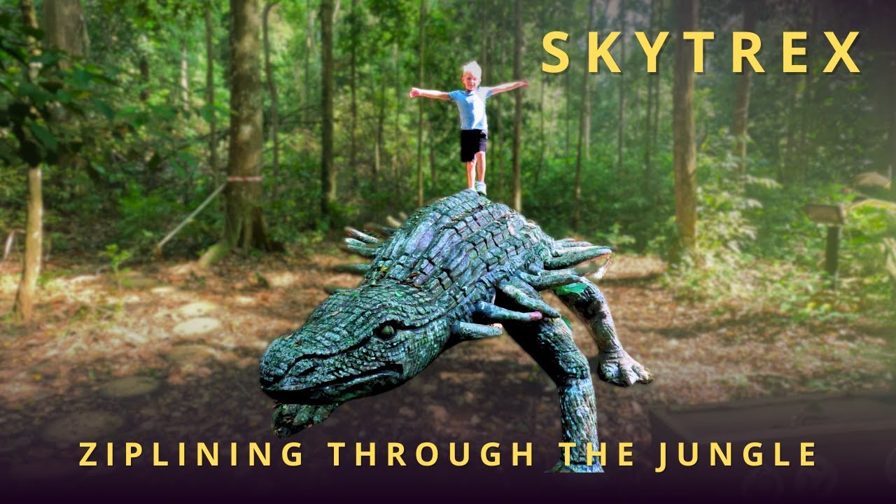 Join a family on fun-filled day at Skytrex Adventure Melaka.