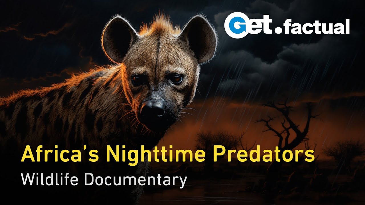 Africa's Hunters of the Night | Wildlife Documentary