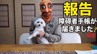 【悲報じゃない】障害者手帳3級を取得しました。実はメリットだらけだった件（発達障害/ADHD）