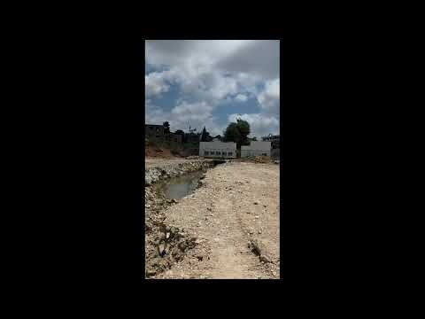 זעקת בעלי האדמות על הביוב שזורם בנחל אלון