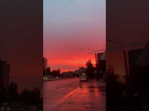 Naresh Narayan - Lofi heat waves