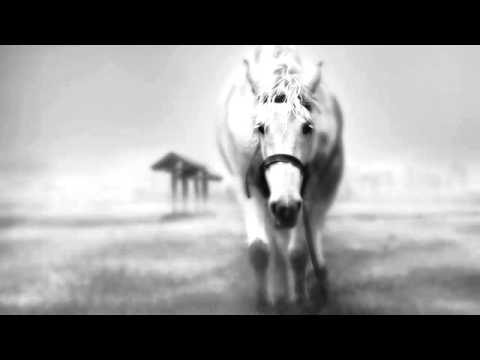 *shels - The Spirit Horse