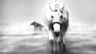 *shels - The Spirit Horse