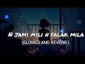 Na jami mili n falak mila lofi ( slow and reverb) || pagal parindey lofi song || The Kerala story